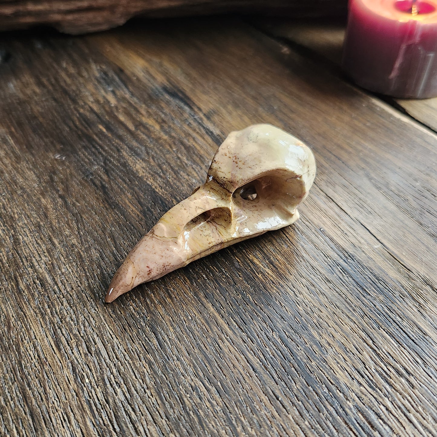 Crâne de corbeau en Bois fossilisé n°4