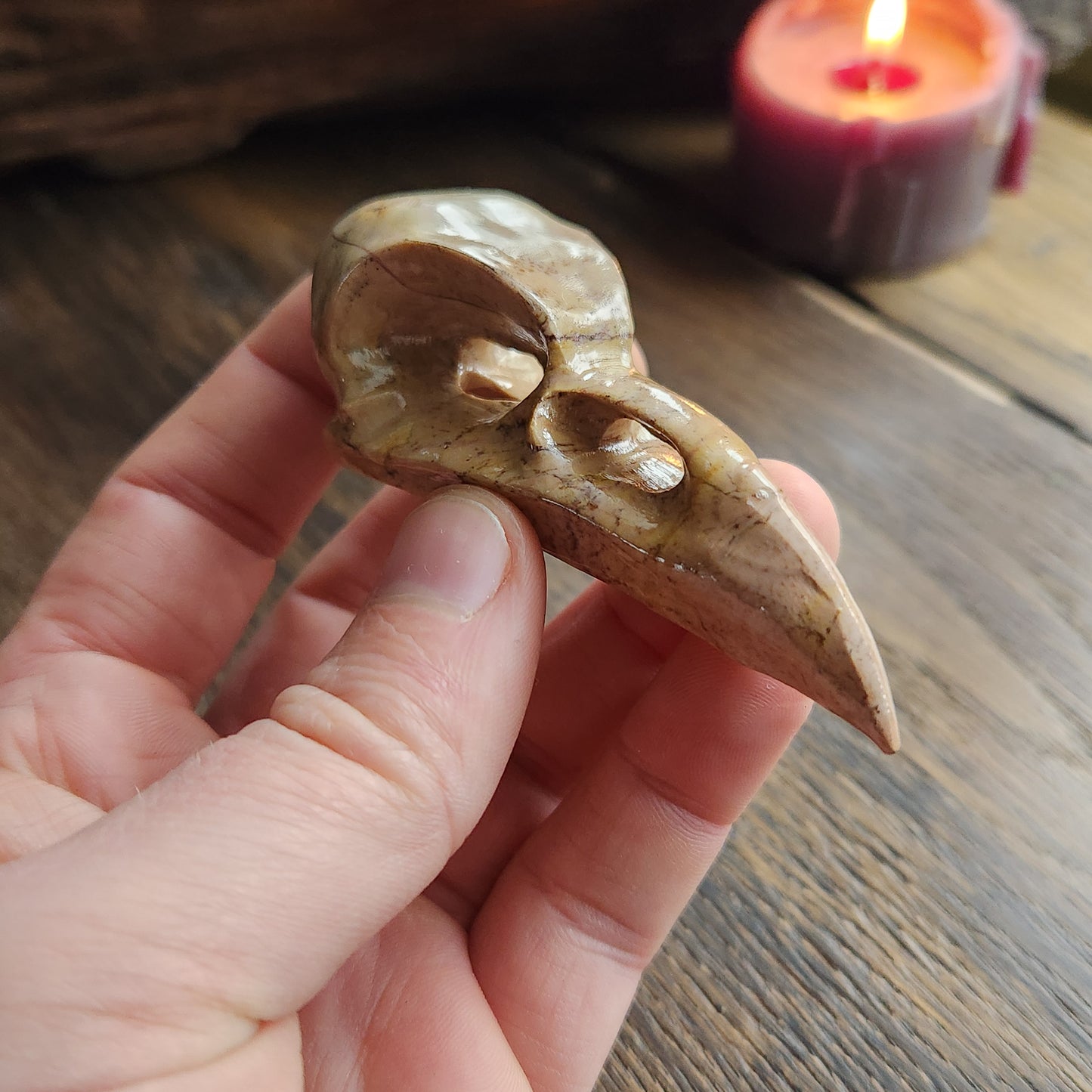 Crâne de corbeau en Bois fossilisé n°4
