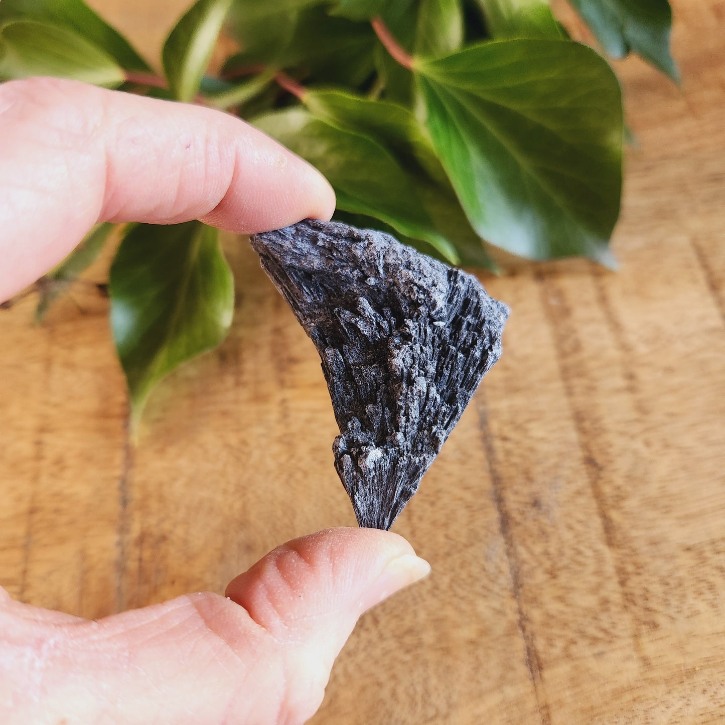 Cyanite noire brute - moyenne