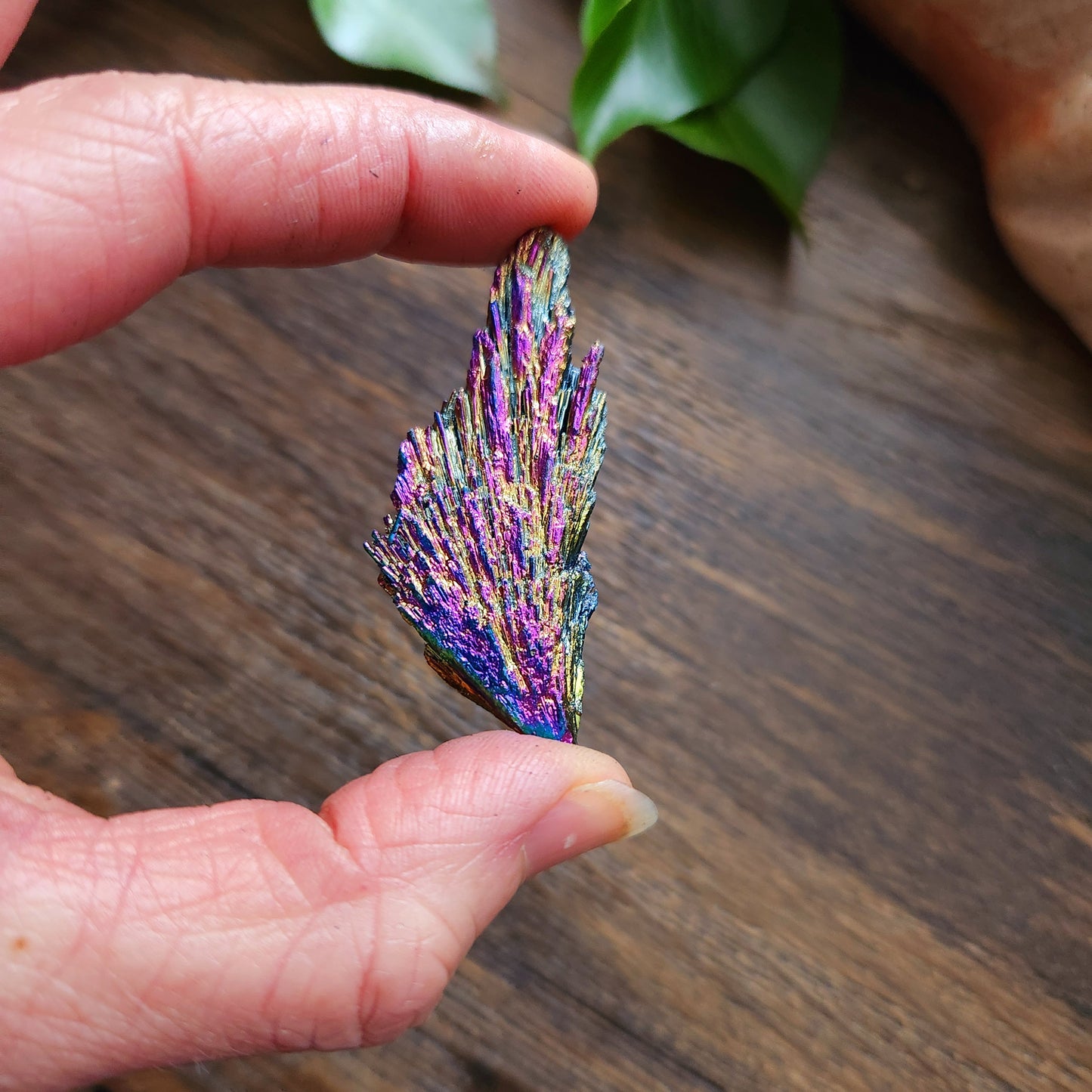 Cyanite Aura - petite