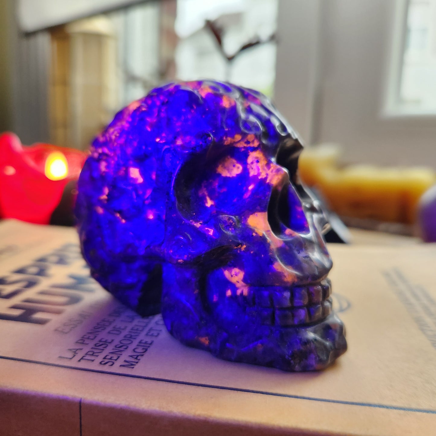 Crâne gravé en Yooperlite - n°1