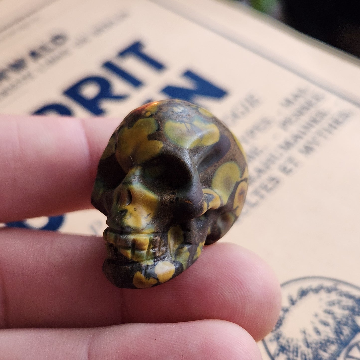 Crâne en Jaspe bambou