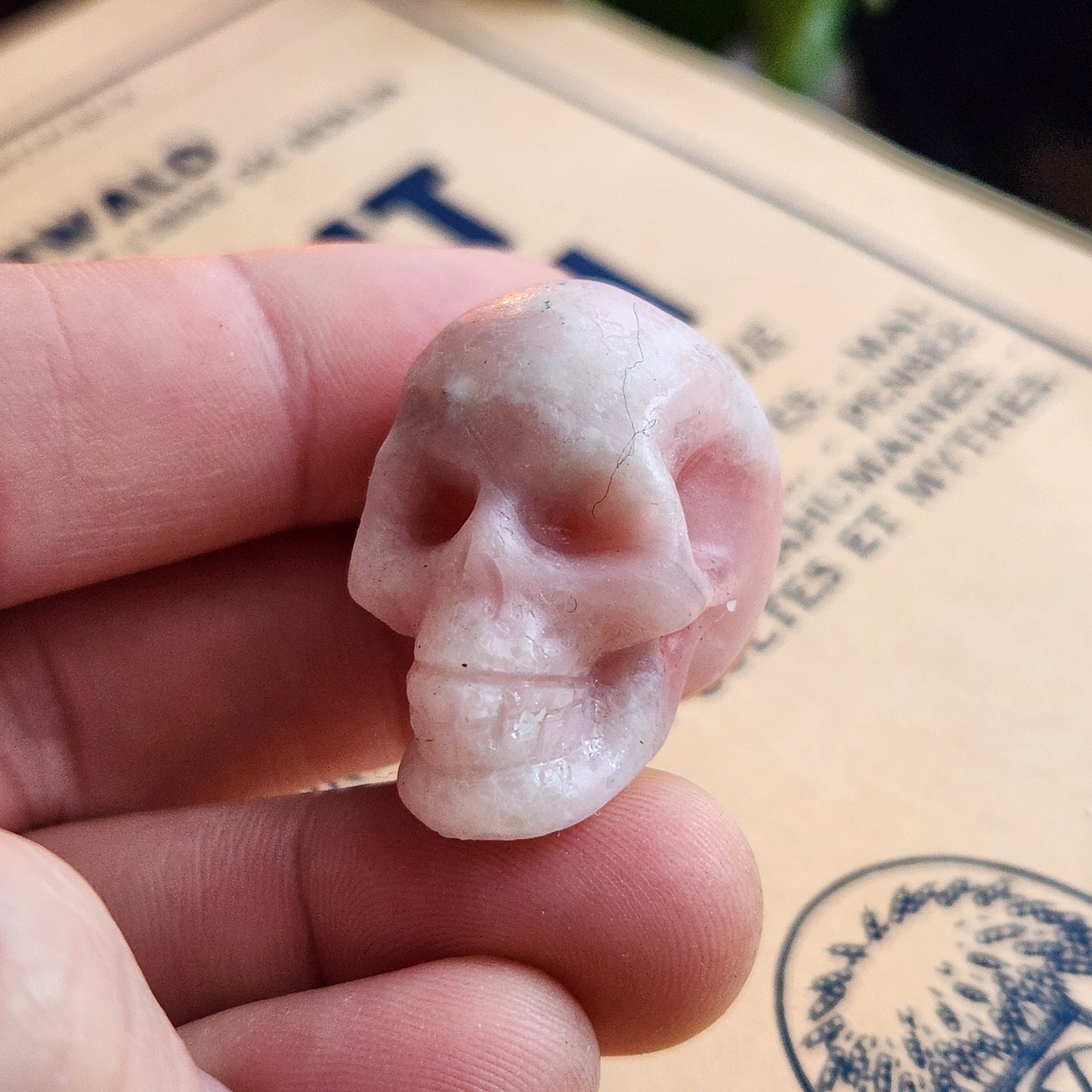 Crâne en Opale rose