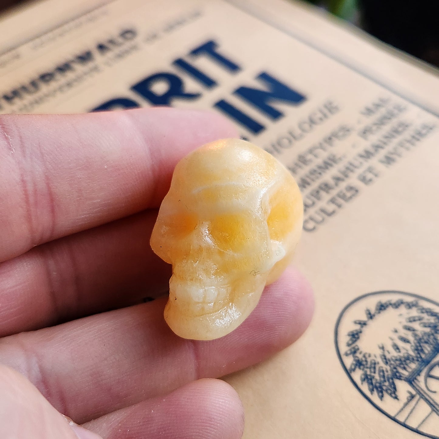 Crâne en Calcite jaune