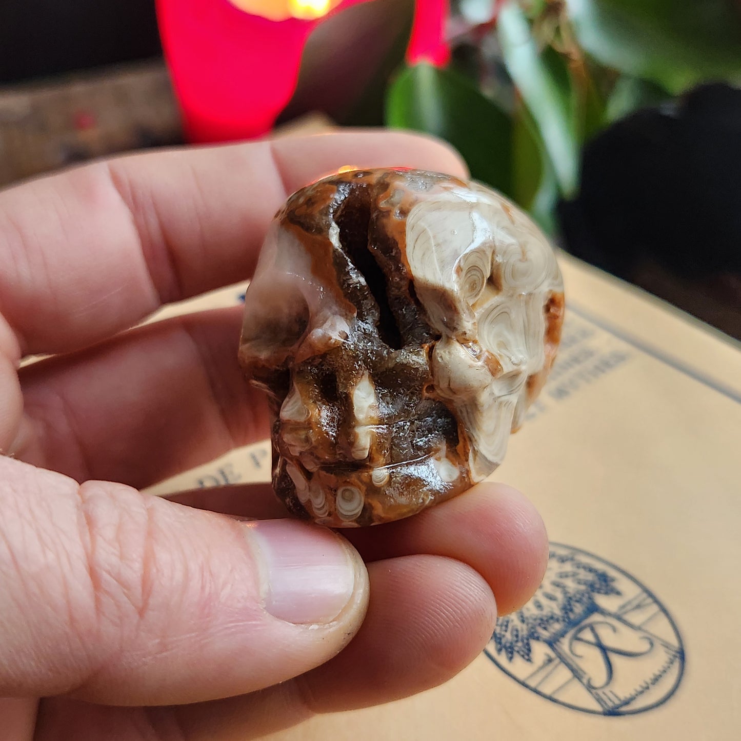 Crâne en Agate fleur - n°3