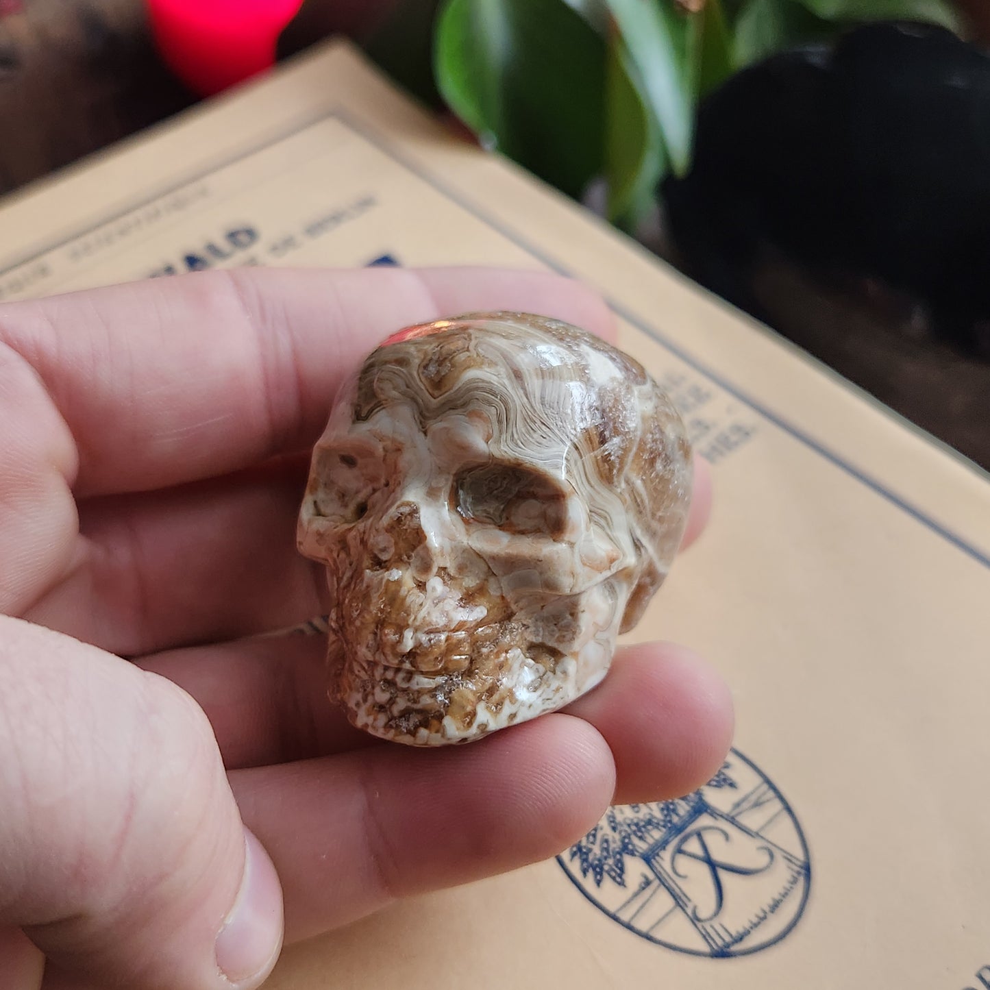 Crâne en Agate fleur - n°1