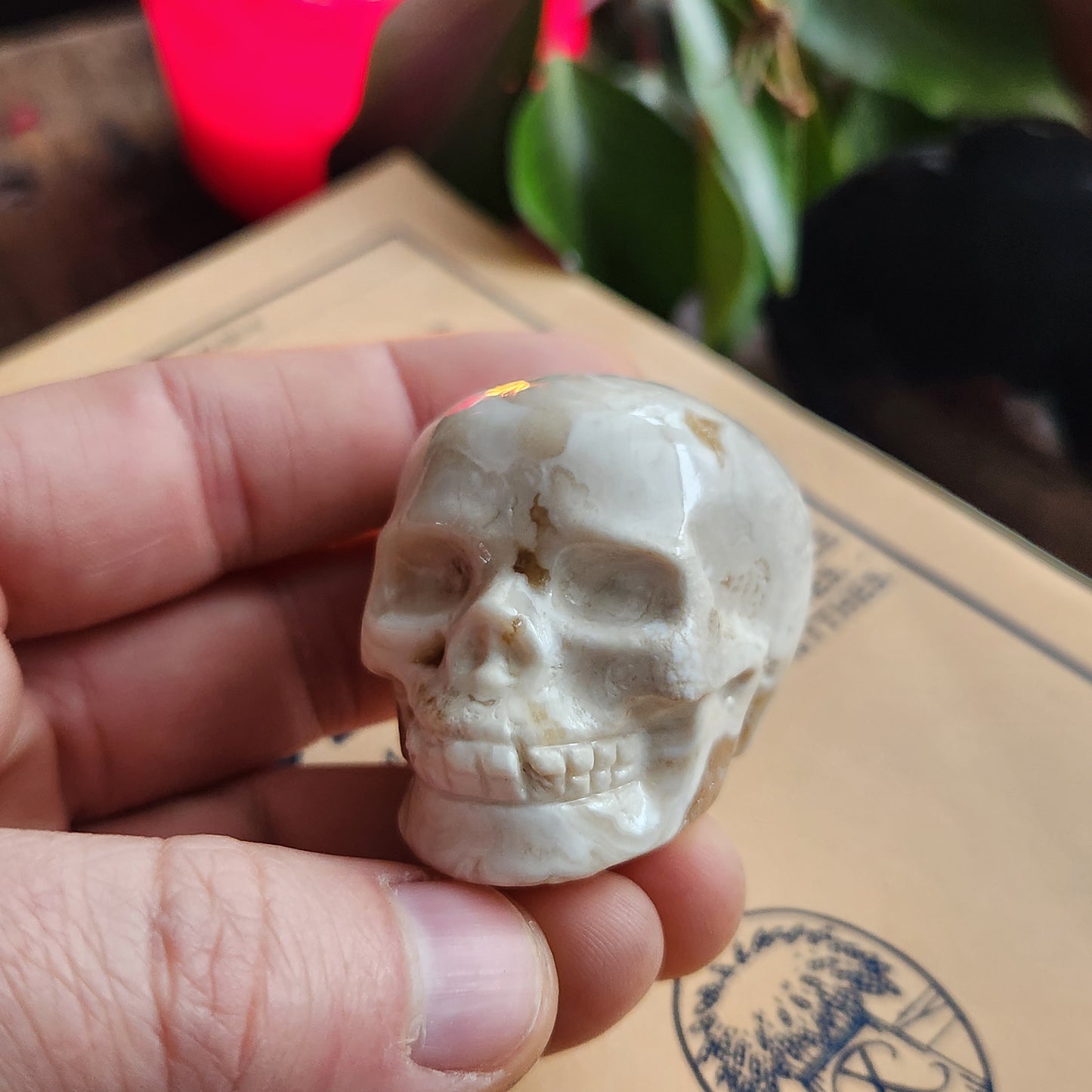 Crâne en Agate fleur - n°2