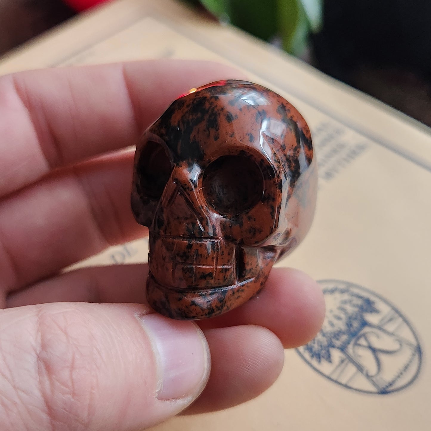 Crâne en Obsidienne Acajou