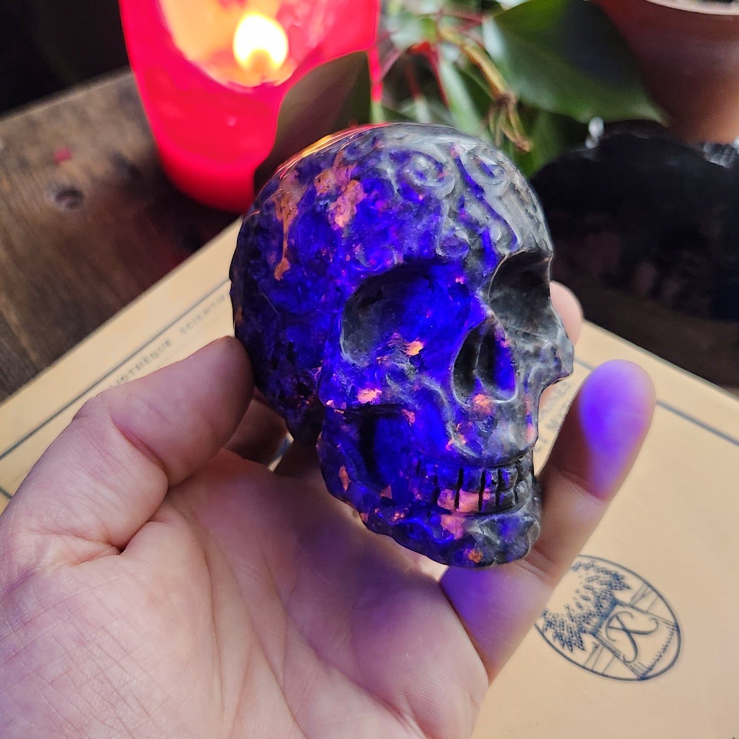 Crâne gravé en Yooperlite - n°2