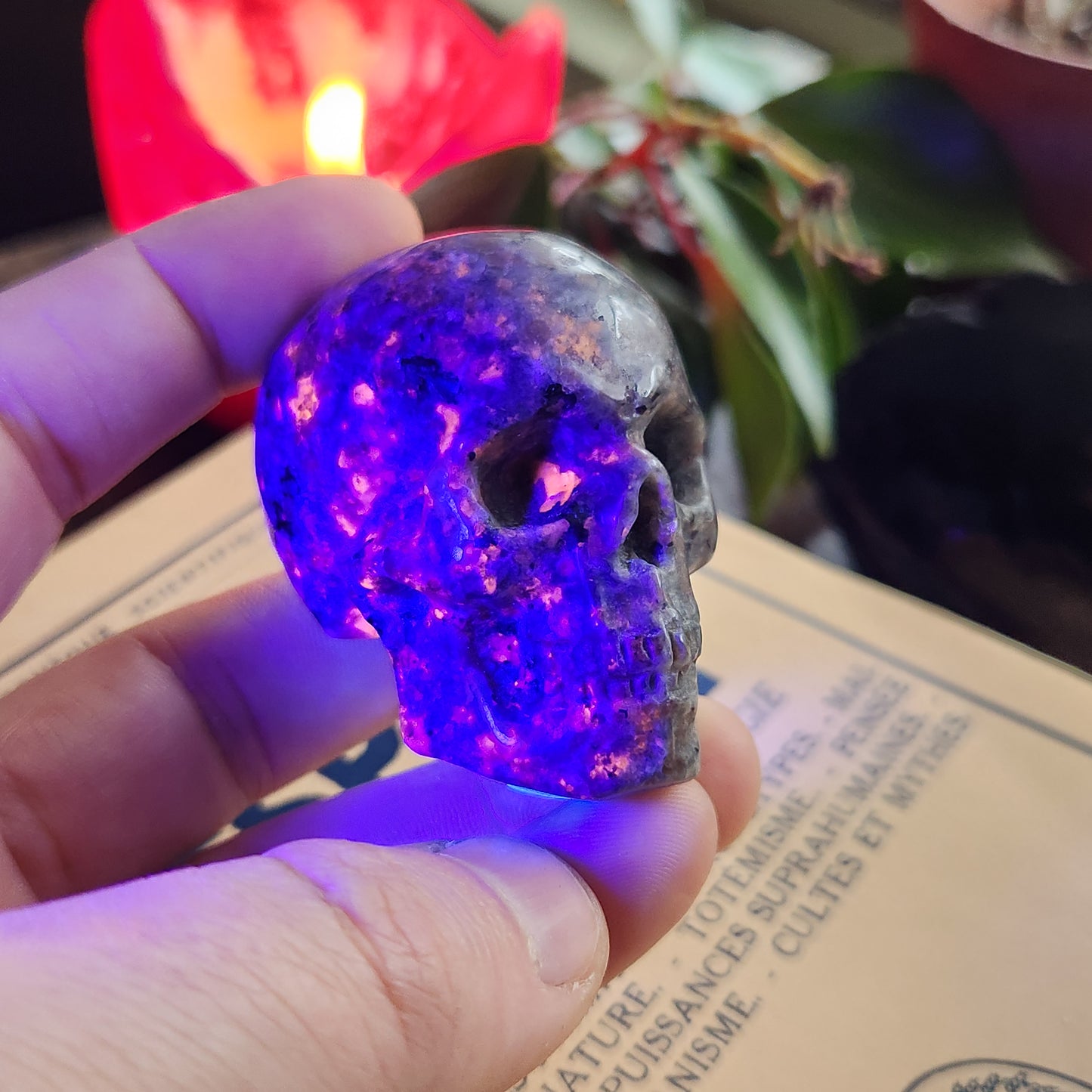 Crâne en Yooperlite - n°2