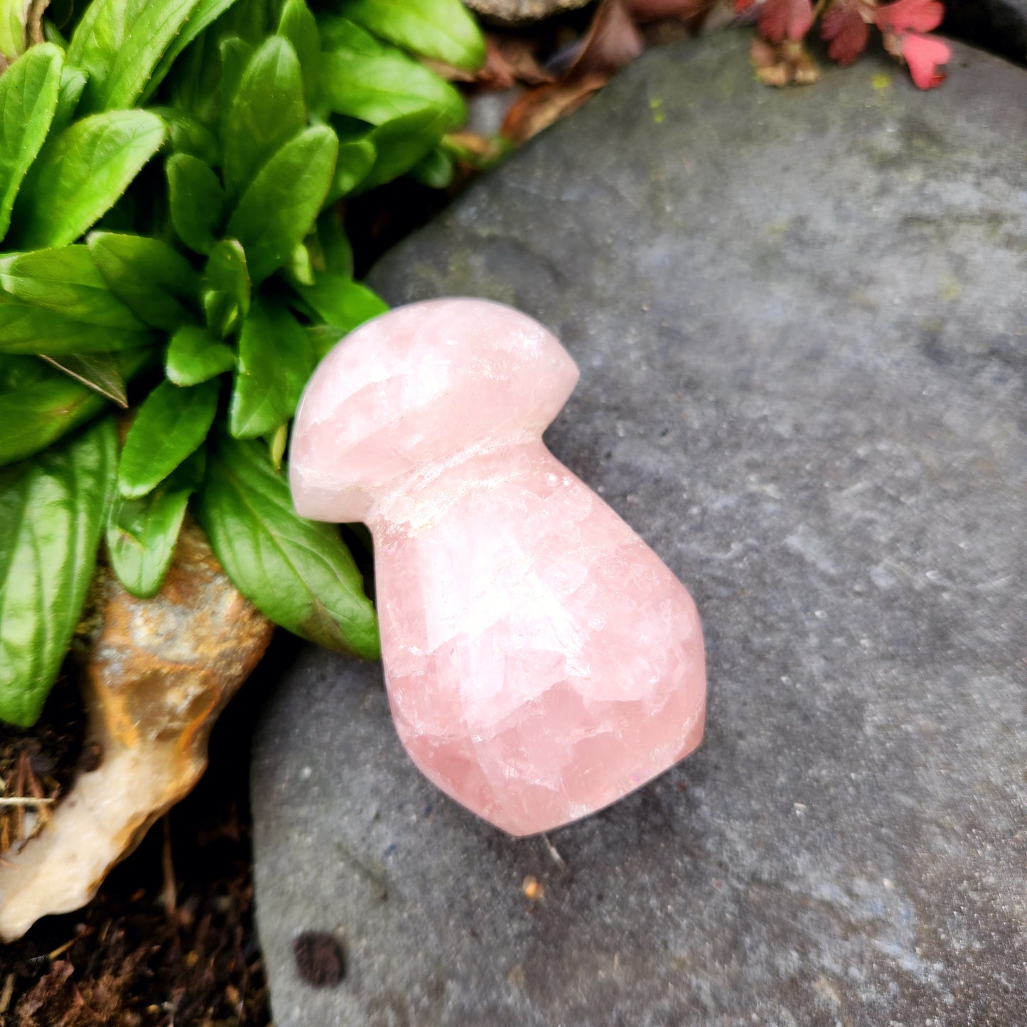 Champignon en Quartz Rose - n°1