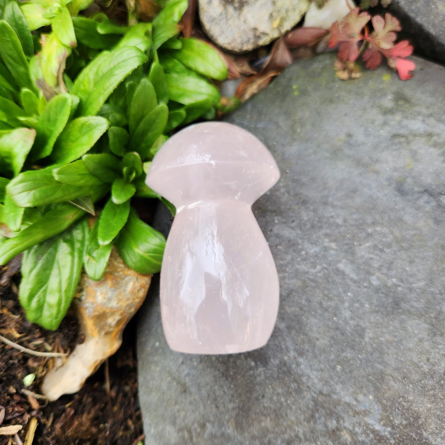 Champignon en Quartz Rose - n°2