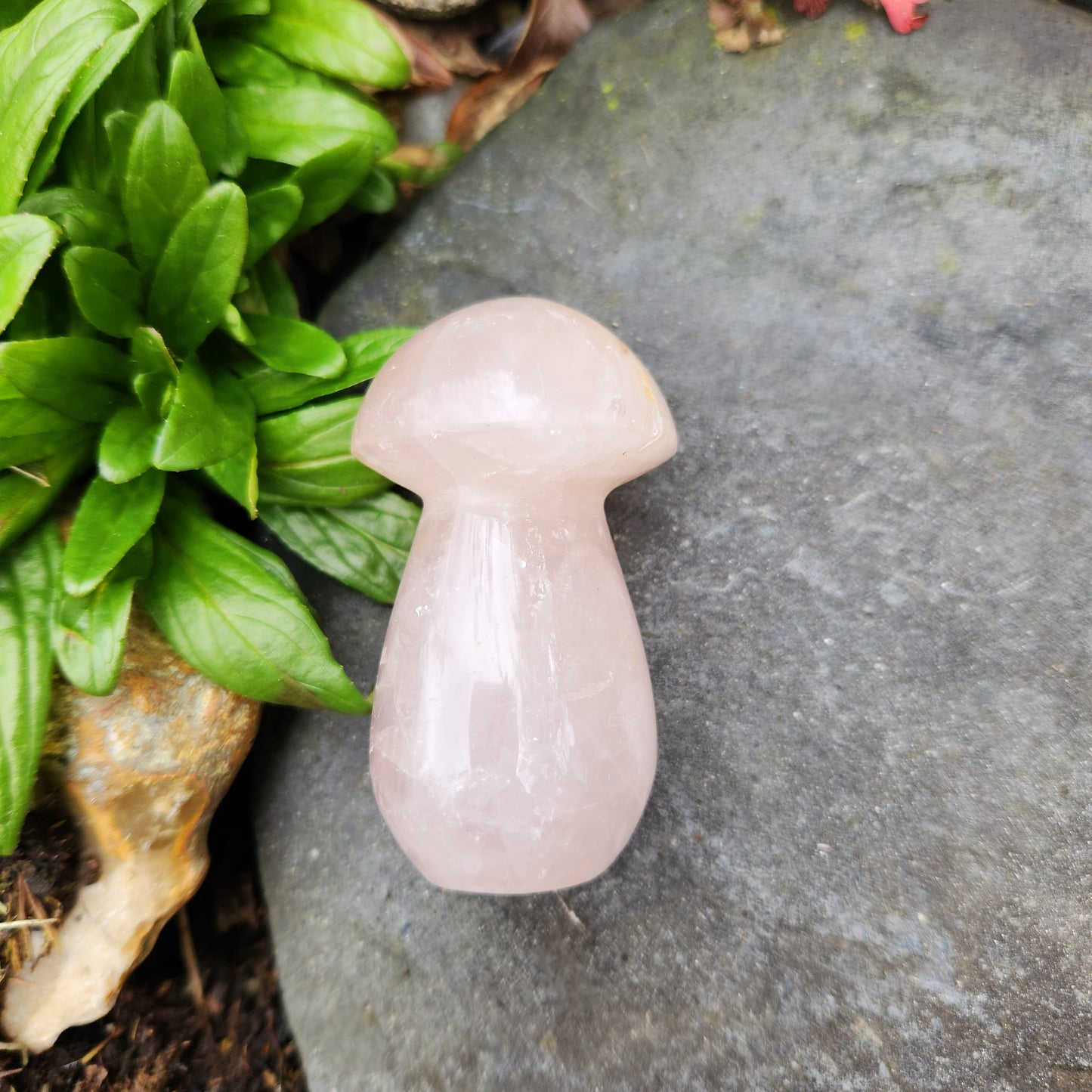 Champignon en Quartz Rose - n°3