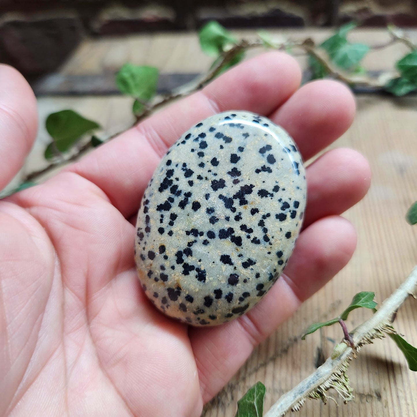 Galet en Jaspe Dalmatien - n°1