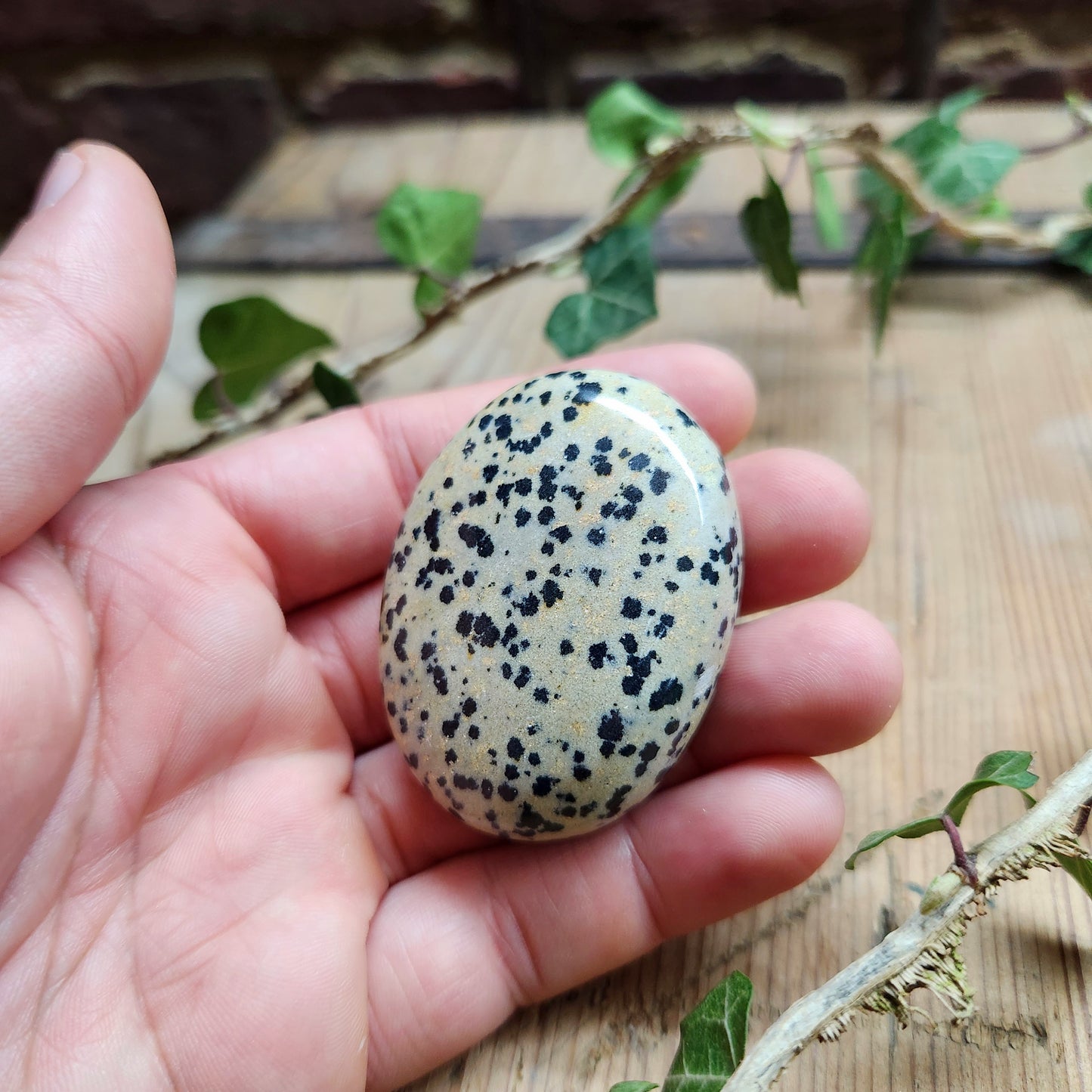 Galet en Jaspe Dalmatien - n°2
