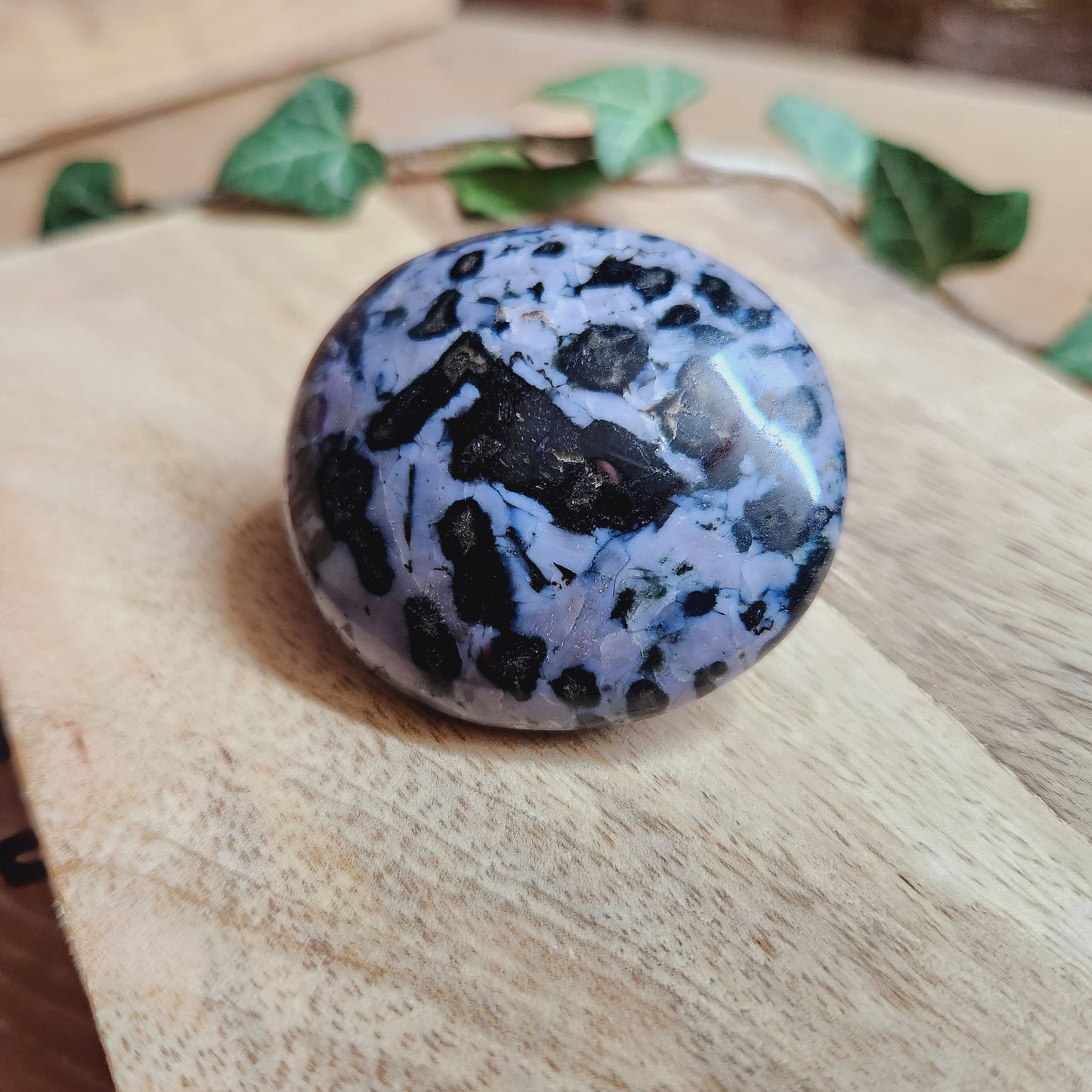 Galet en Gabbro - n°1