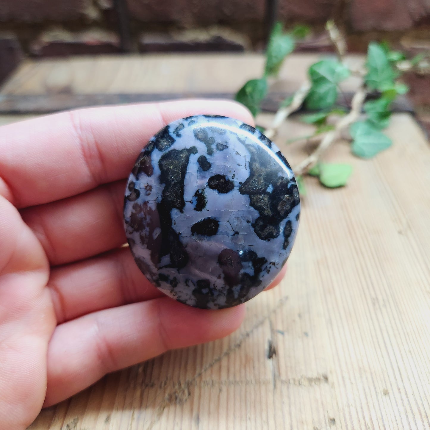 Galet en Gabbro - n°1