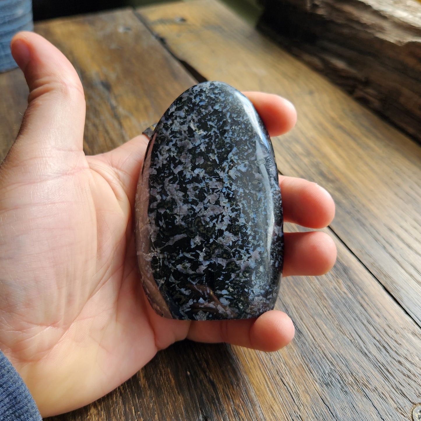 Bloc en Gabbro - n°1