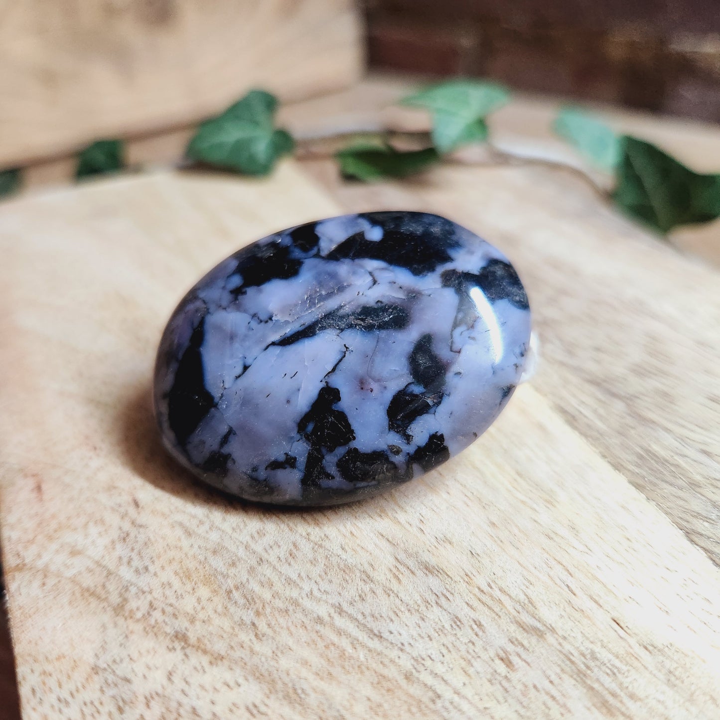 Galet en Gabbro - n°2