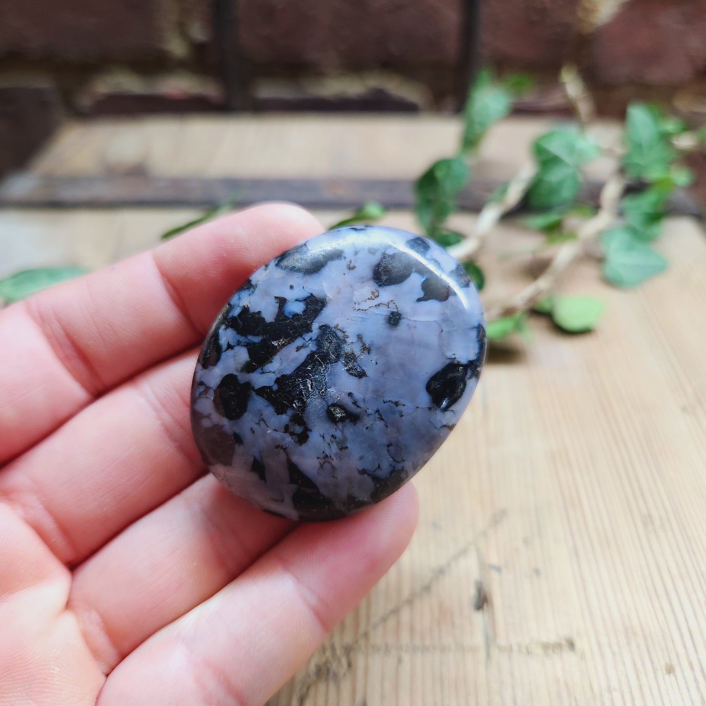 Galet en Gabbro - n°2