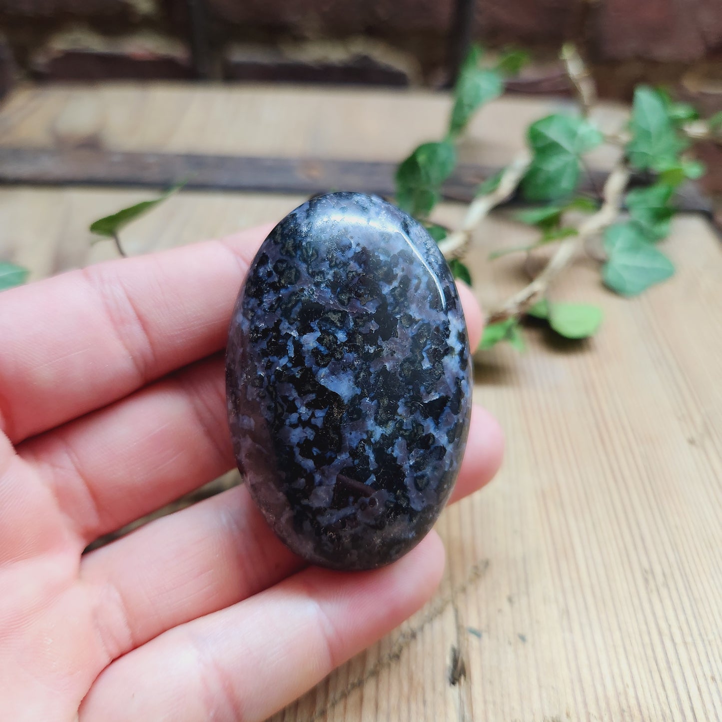 Galet en Gabbro - n°3