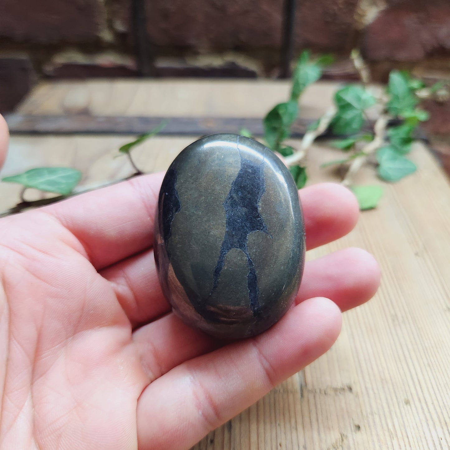 Galet en Pyrite - n°1