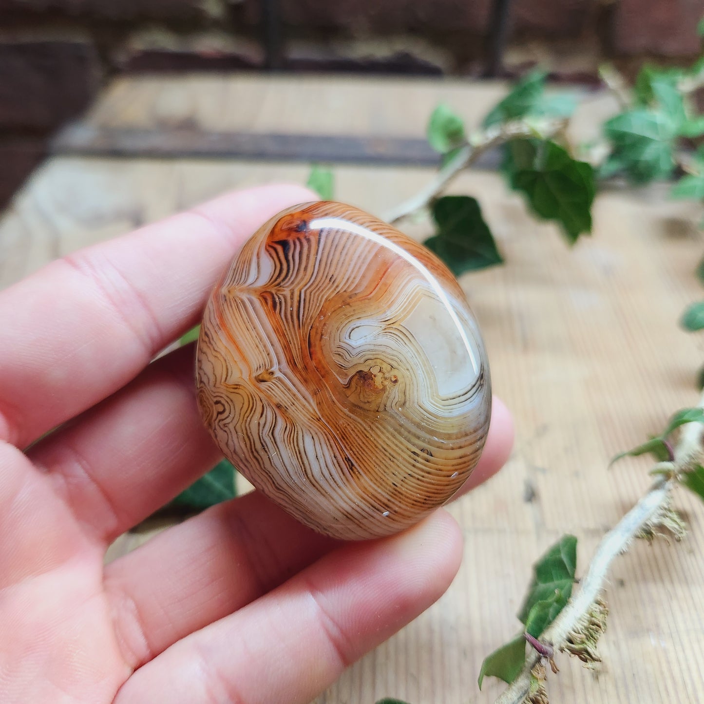 Galet en Sardonyx - n°3