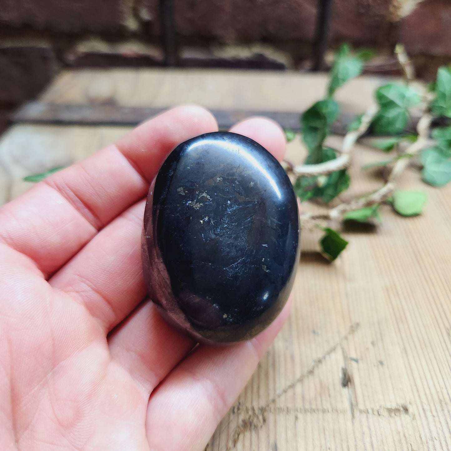 Galet en Shungite - n°2