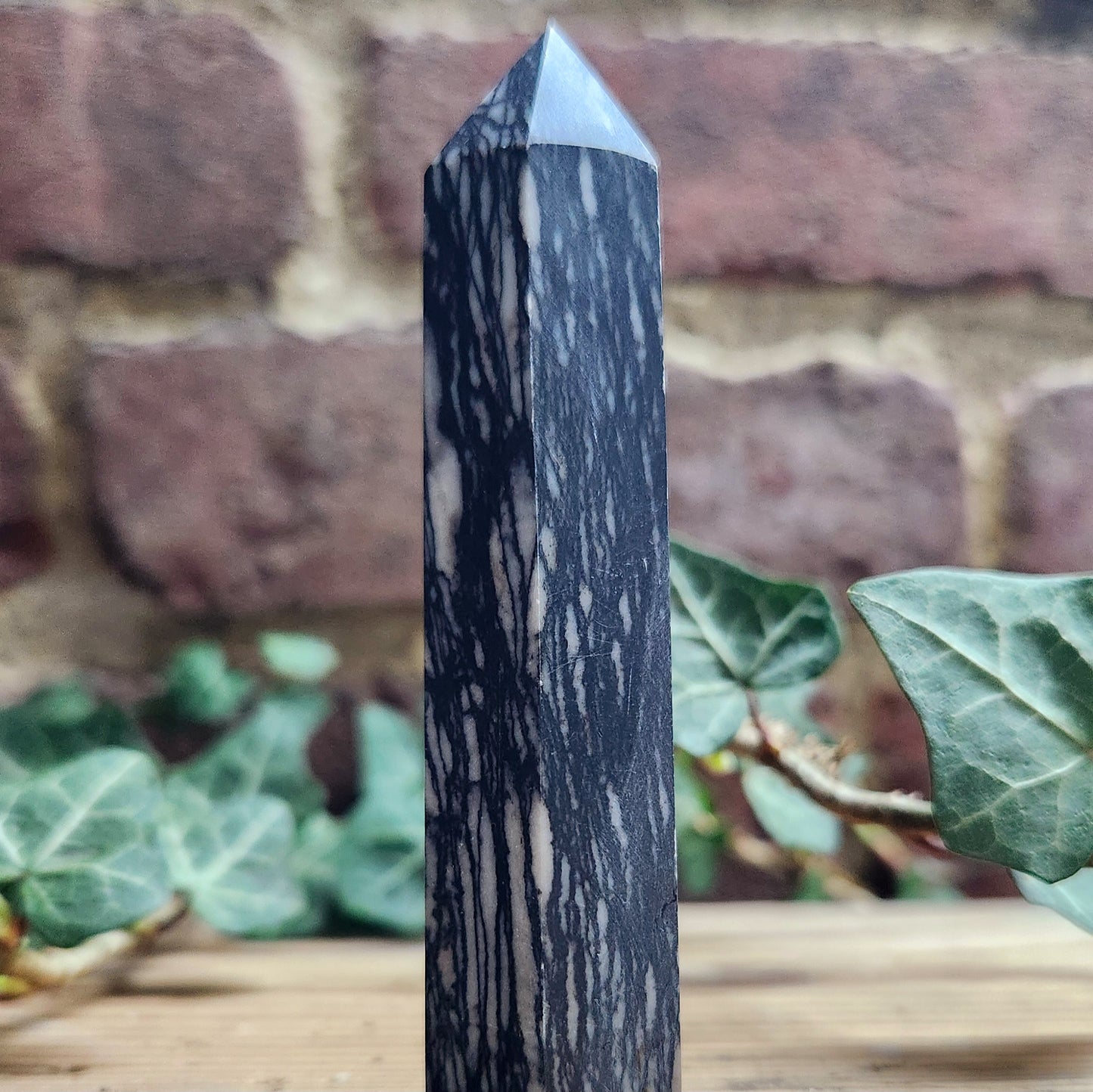 Tour en Jaspe Araignée - n°2