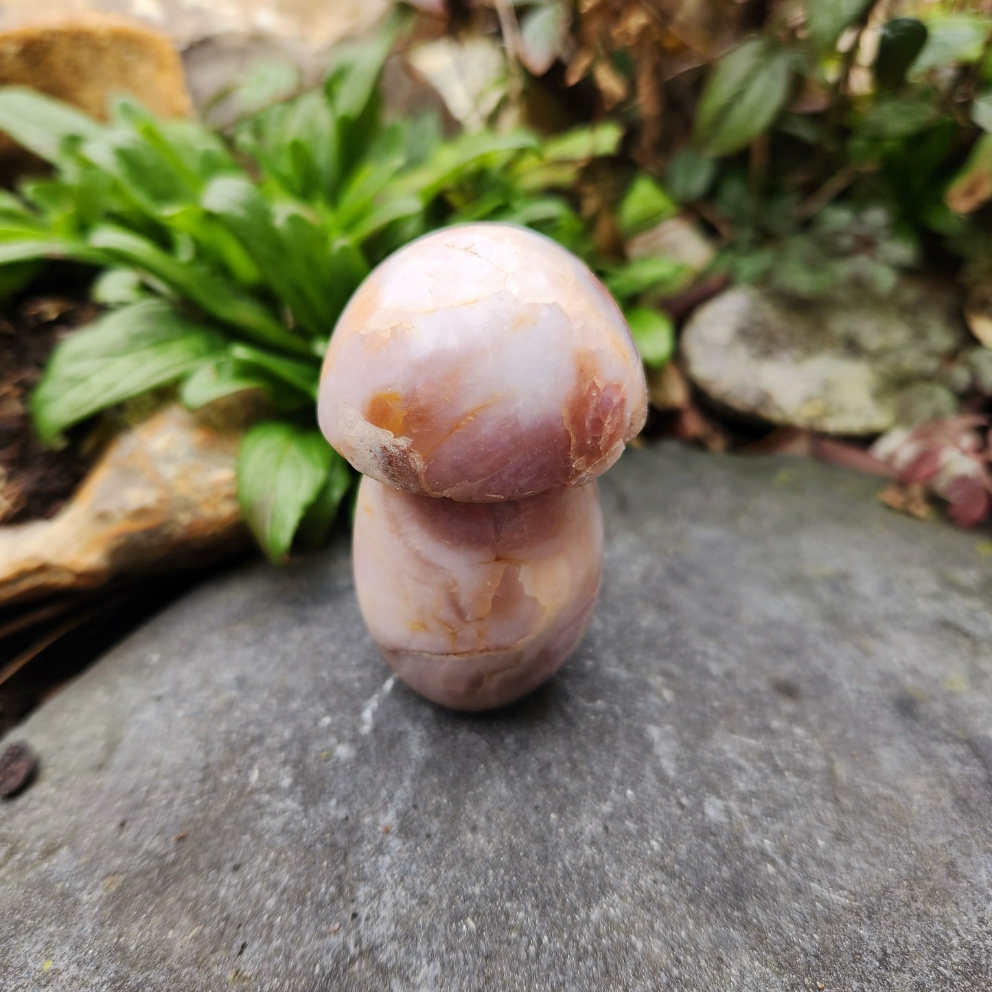 Champignon en Agate fleur - n°2