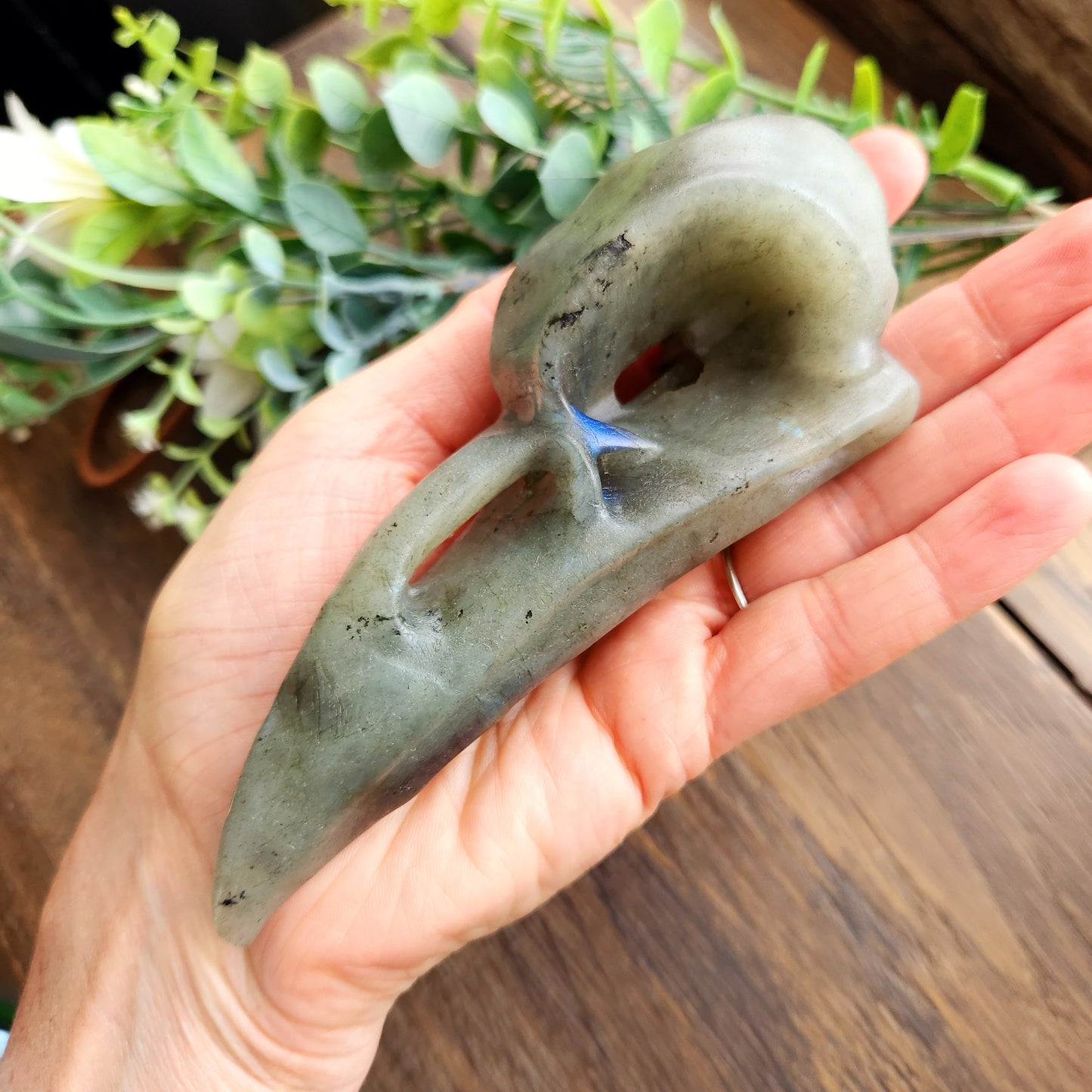 Crâne de corbeau en Labradorite