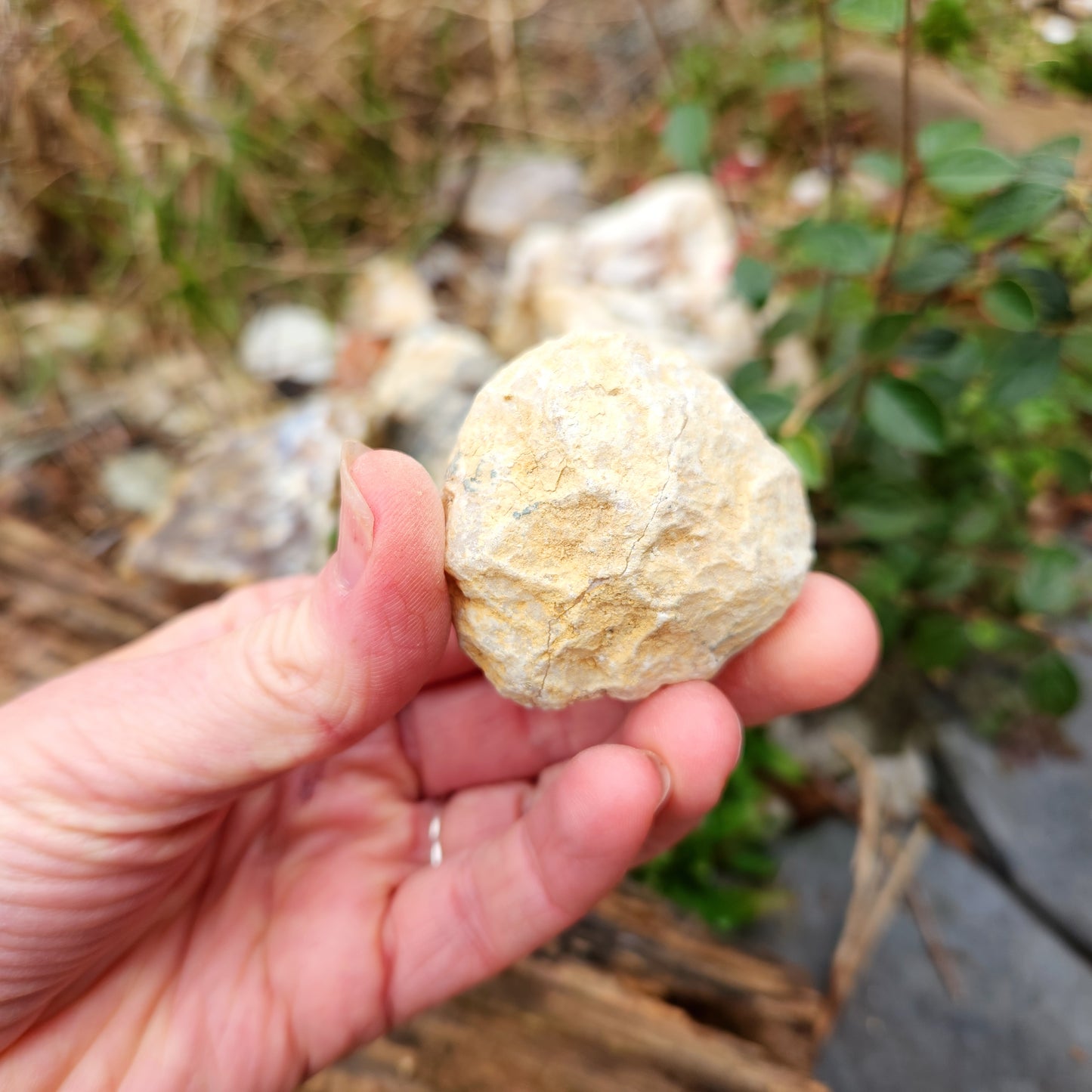 Géode en Cristal de roche - Petite - n°7