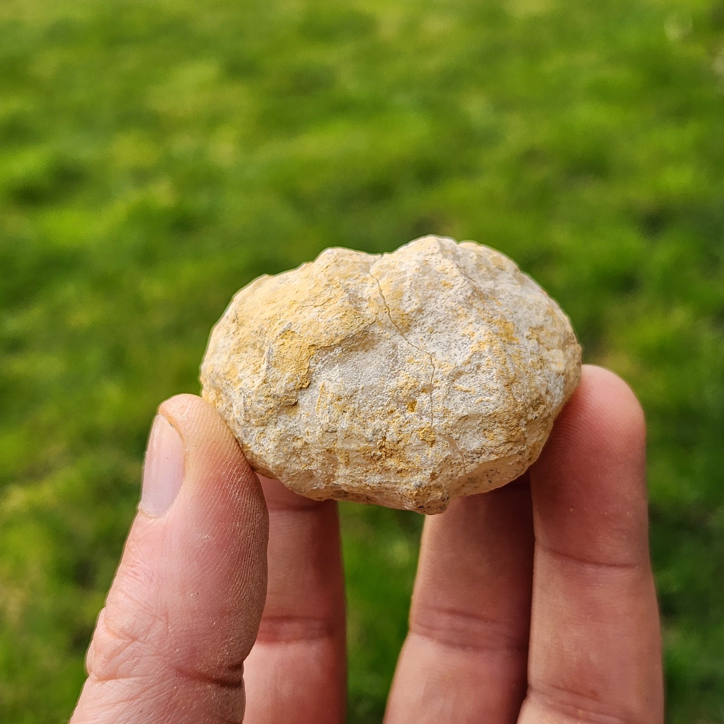 Géode en Cristal de roche - Petite - n°2