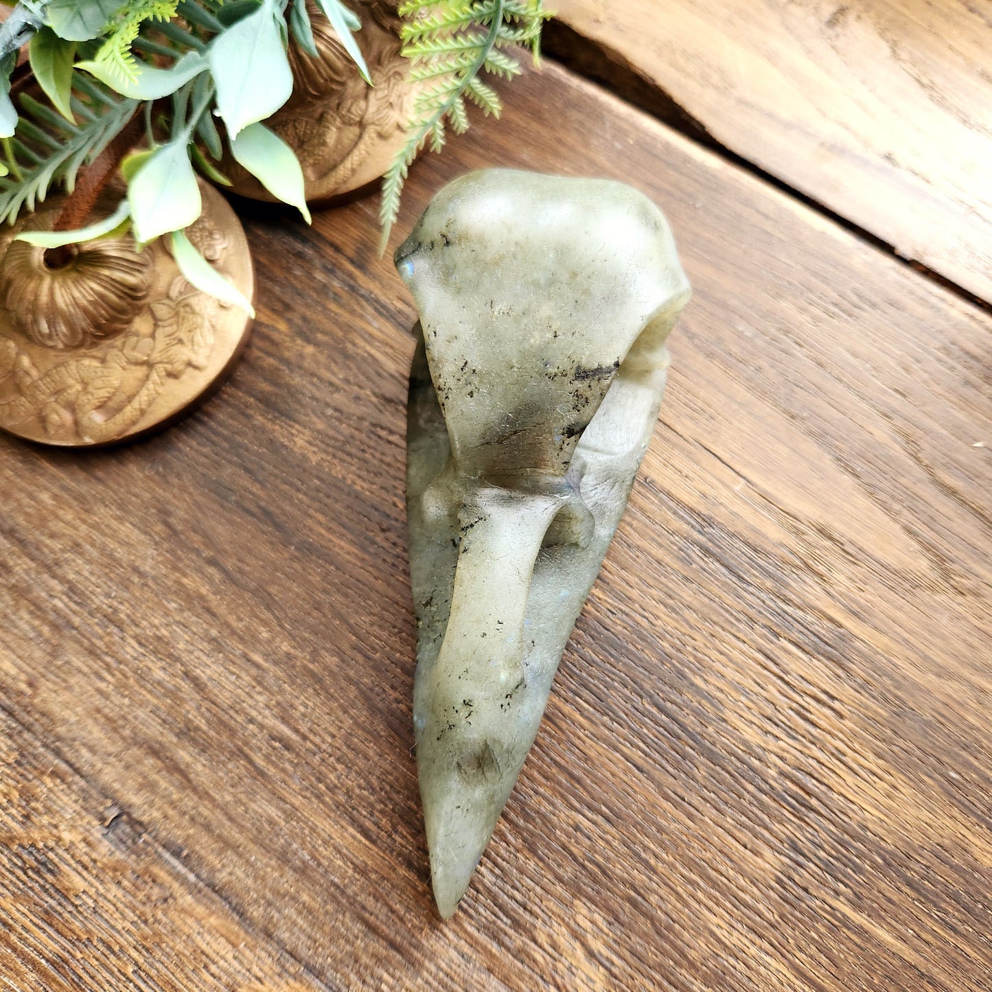 Crâne de corbeau en Labradorite