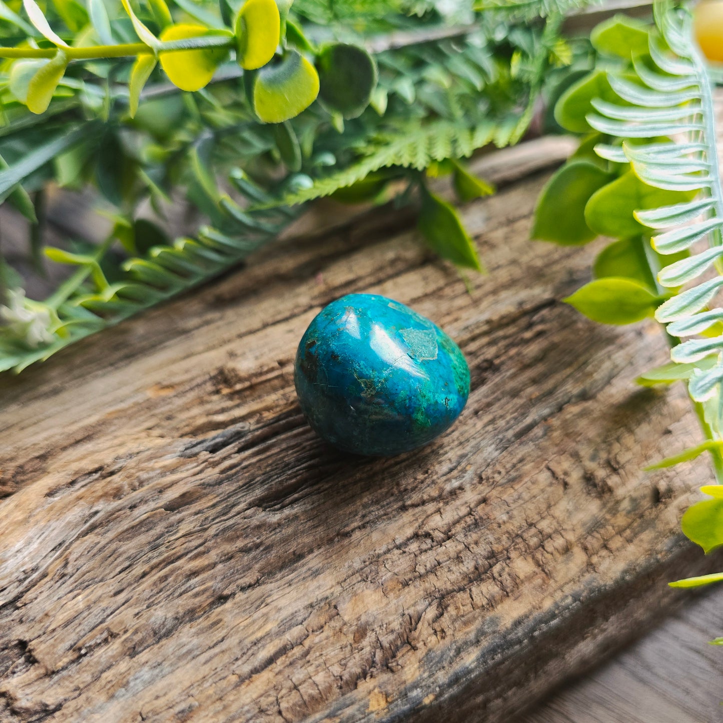 Galet en Chrysocolle - n°1