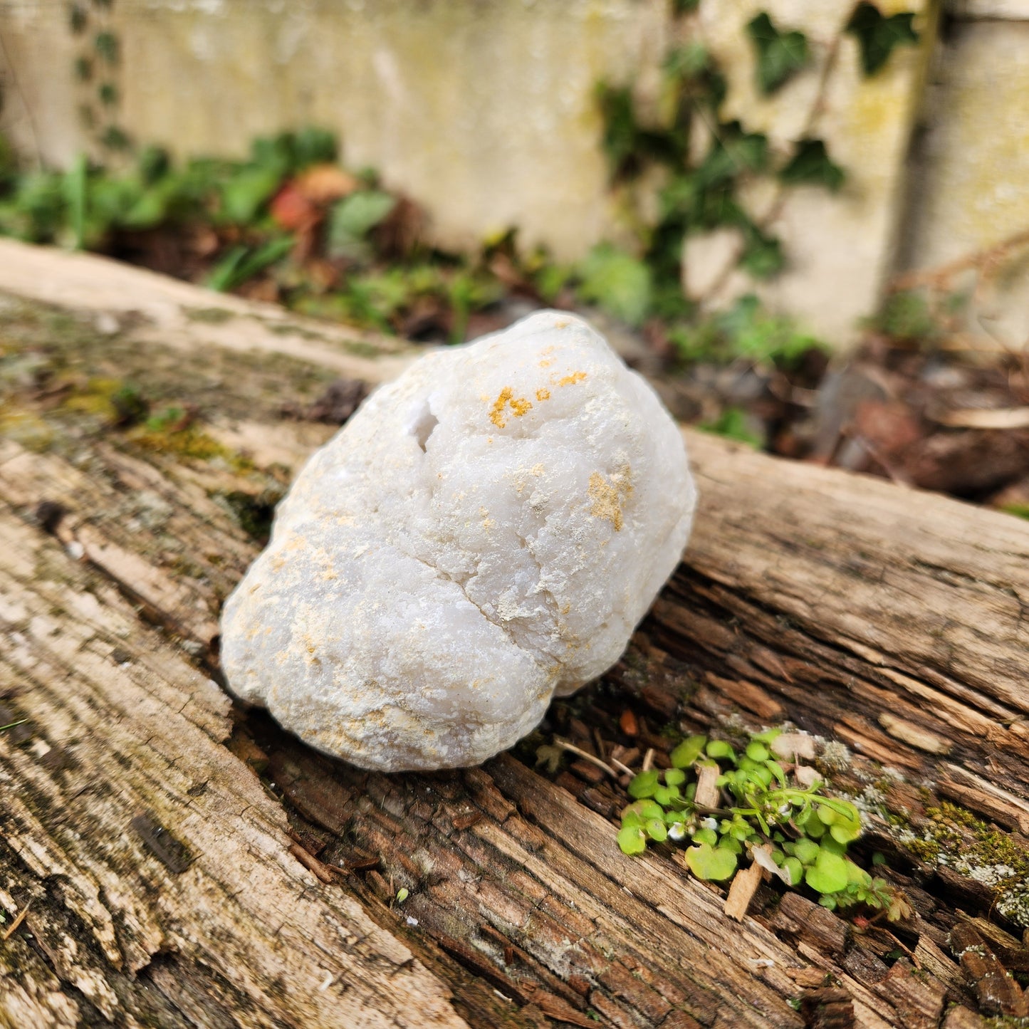 Géode en Cristal de roche - Moyenne - n°2