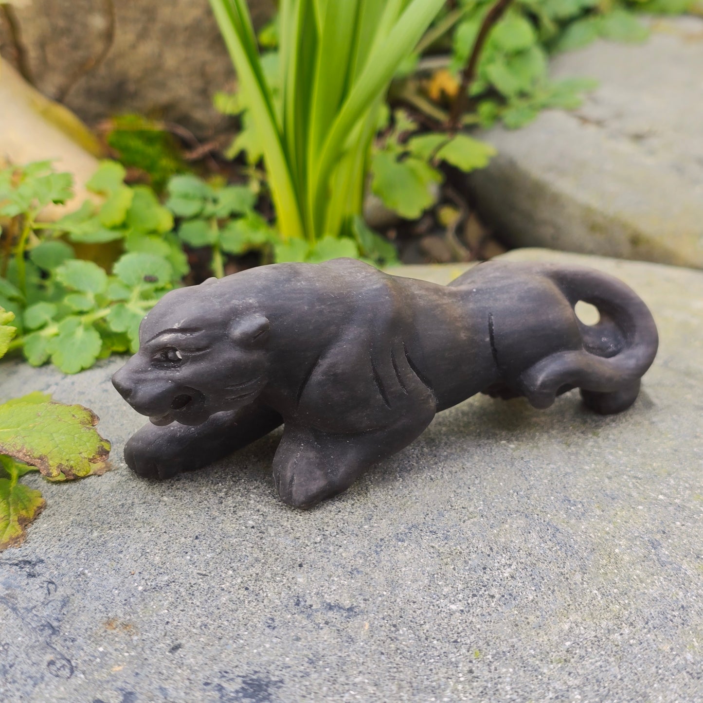 Léopard en Obsidienne argentée mate