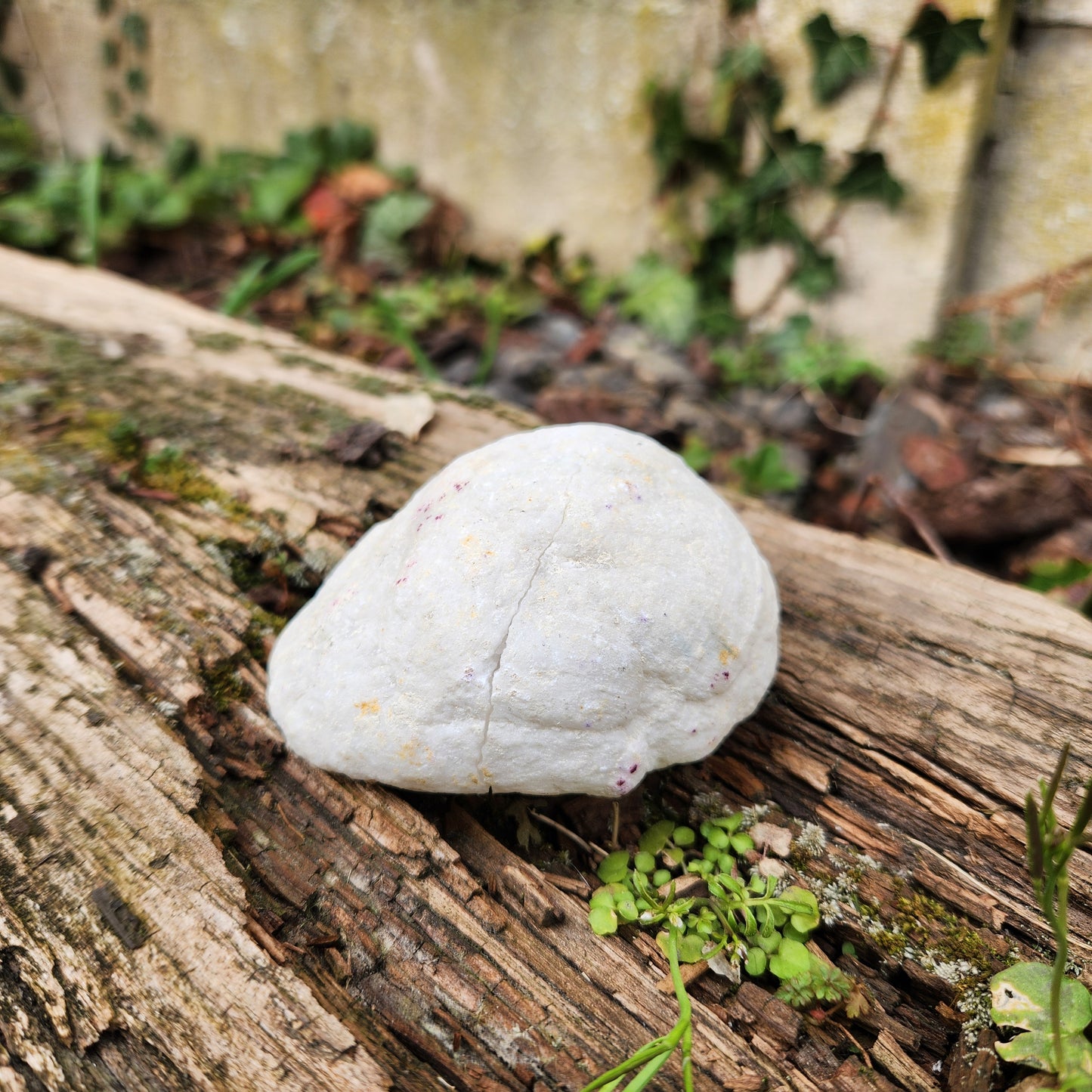 Géode en Cristal de roche - Moyenne - n°1