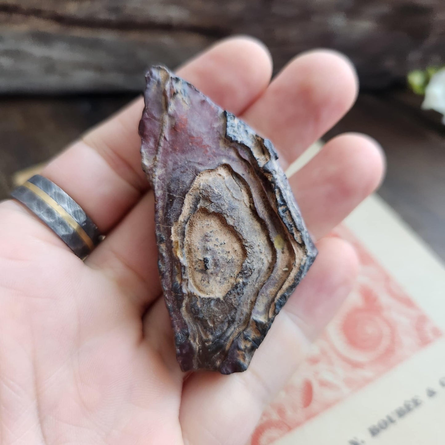 Ecriture du désert - n°2