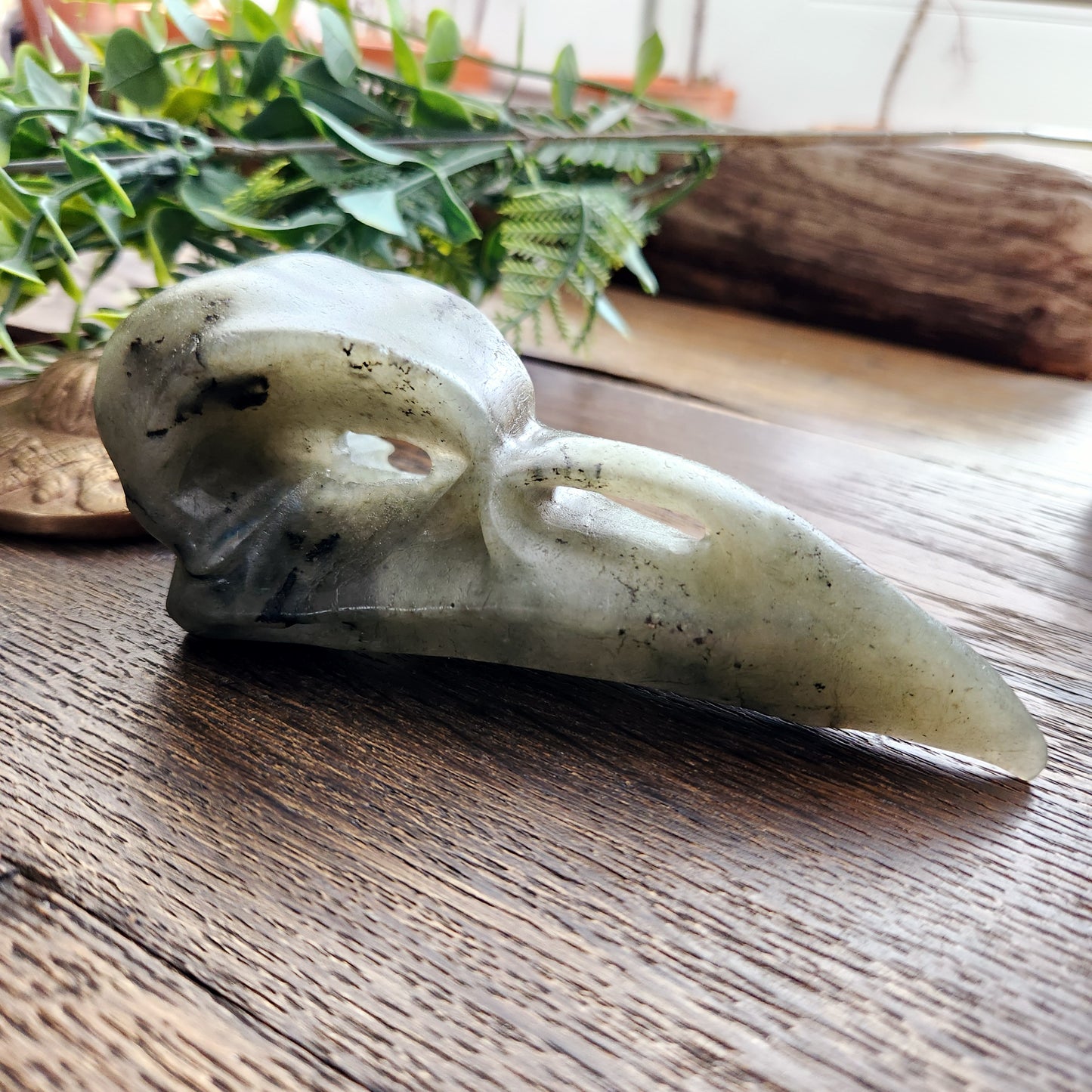 Crâne de corbeau en Labradorite