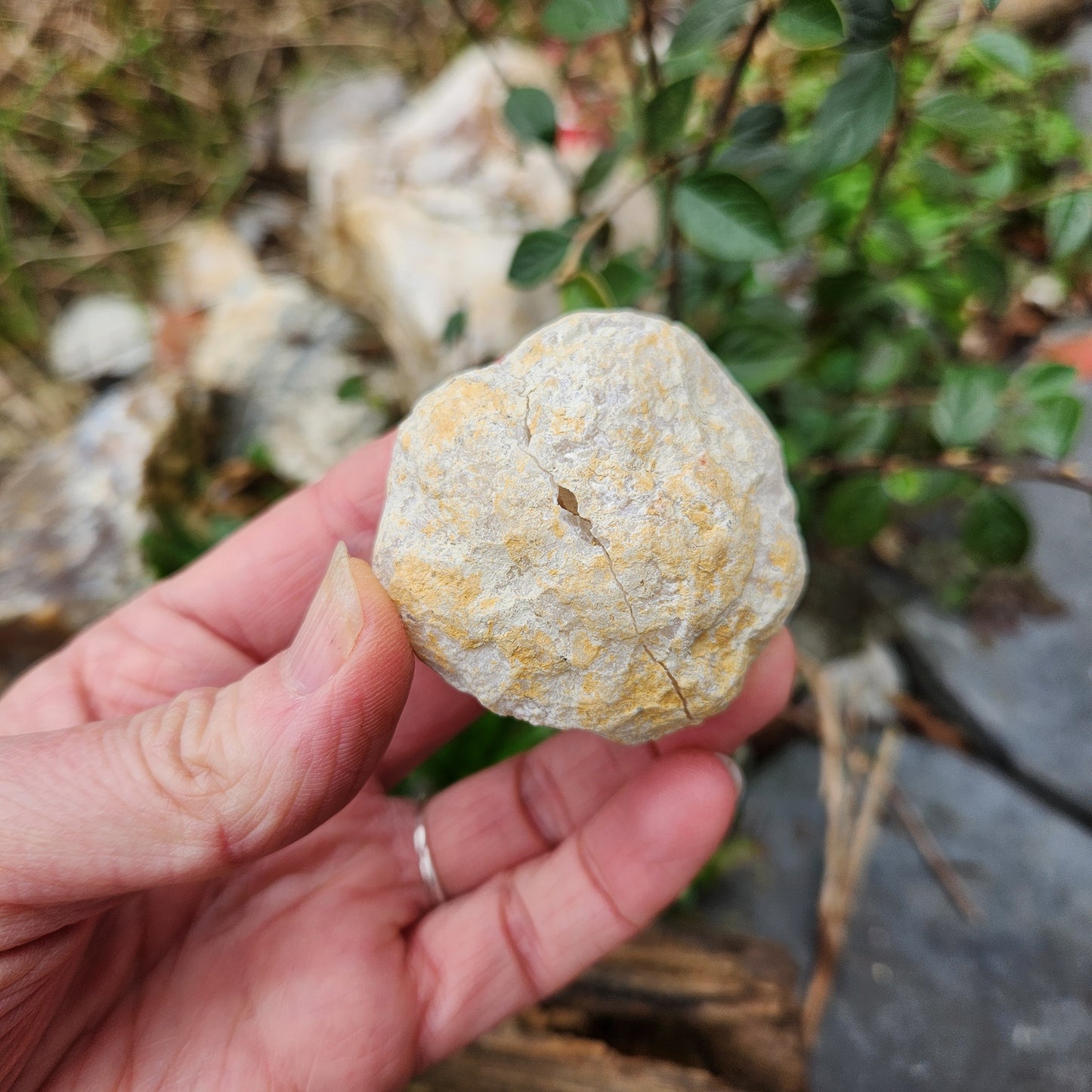 Géode en Cristal de roche - Petite - n°5