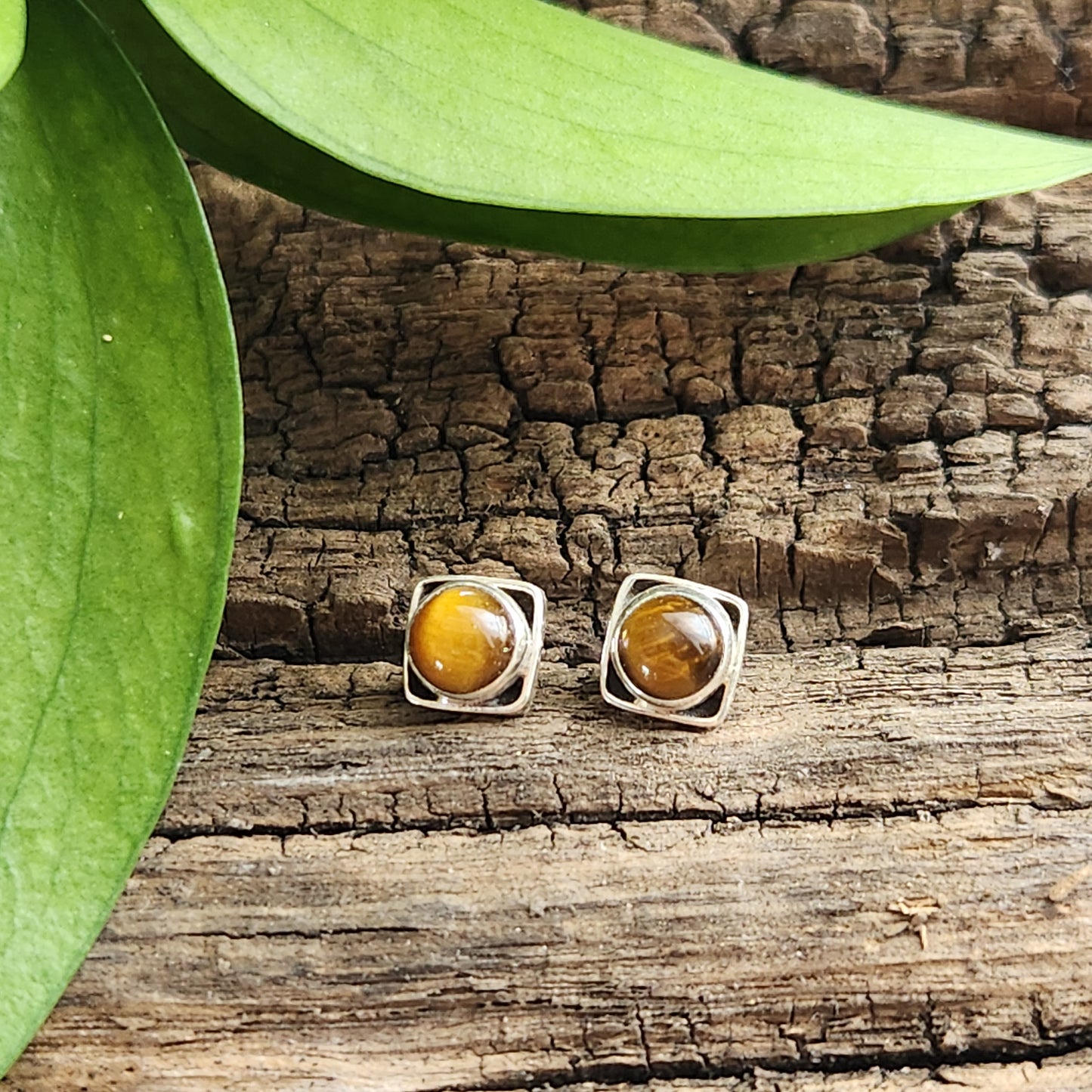 Boucles d'oreilles en Œil de tigre - Clous - Argent 925
