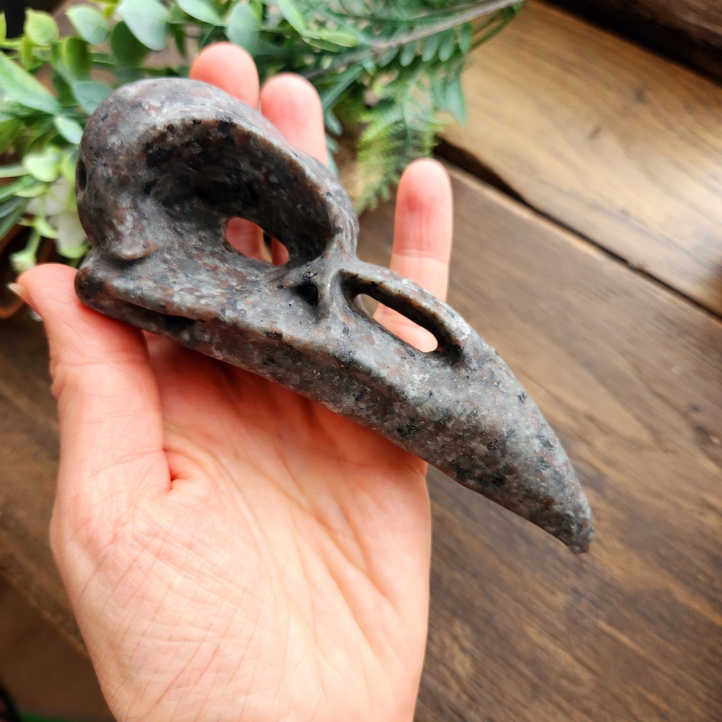 Crâne de corbeau en Yooperlite