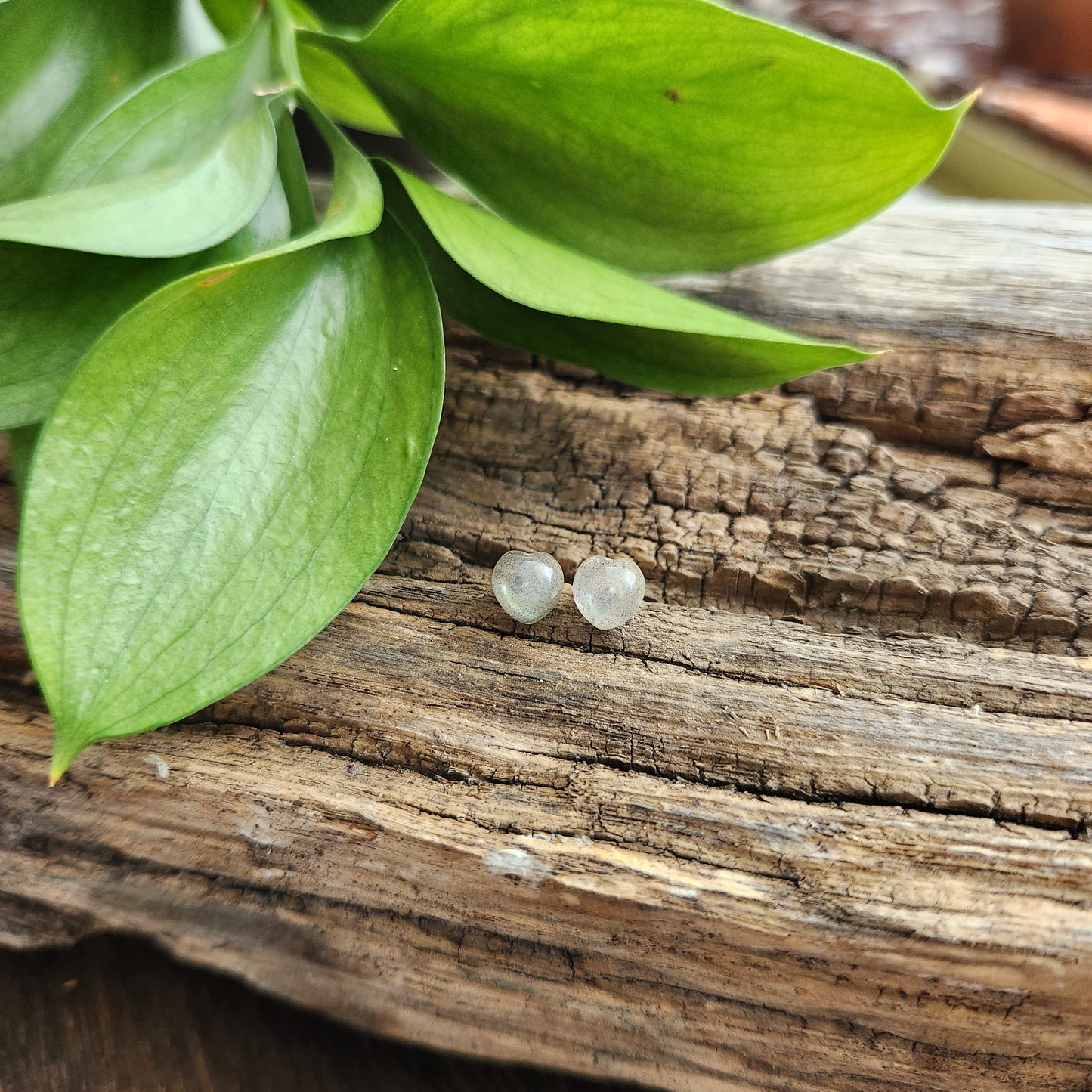 Boucles d'oreilles en Labradorite - Clous n°2 - Argent 925