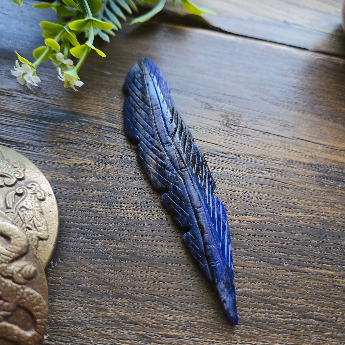 Plume en Sodalite - n°2