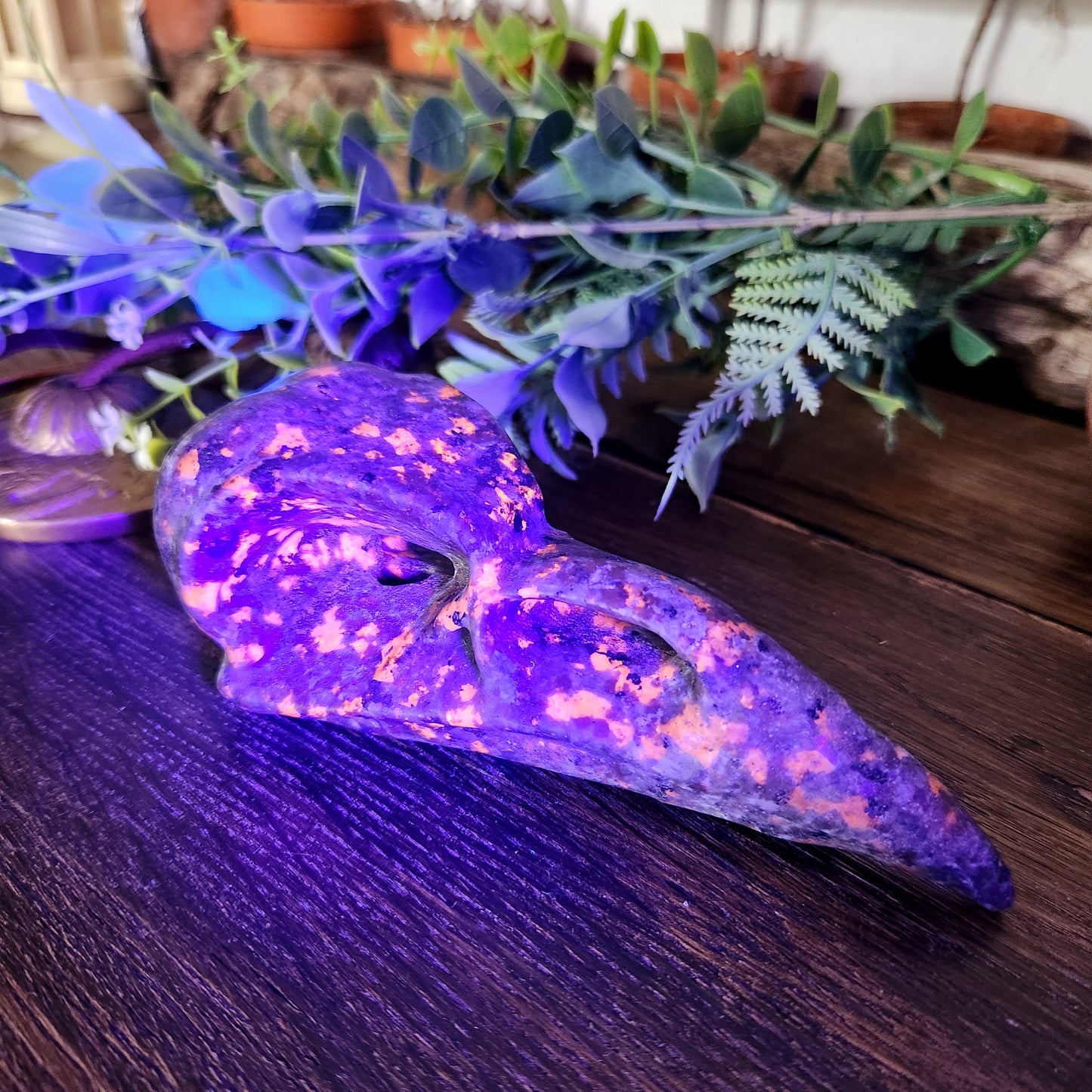 Crâne de corbeau en Yooperlite