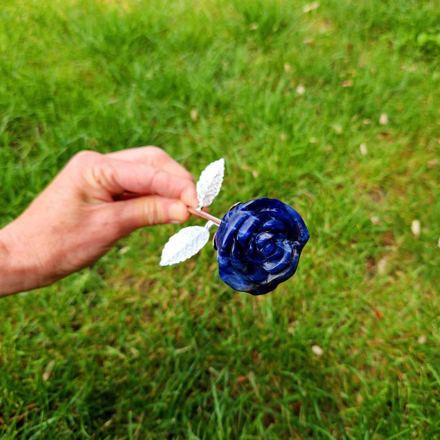Rose en Sodalite