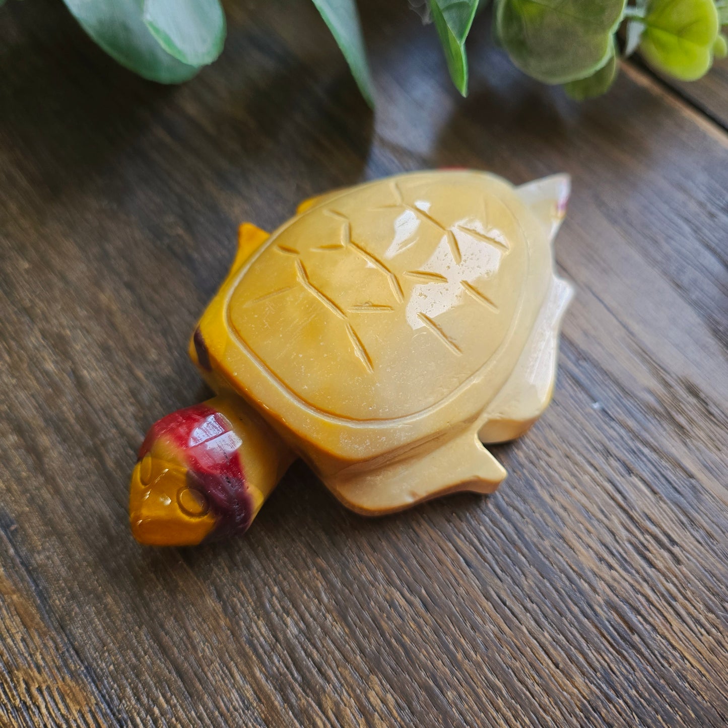 Tortue en Jaspe mokaïte - n°2