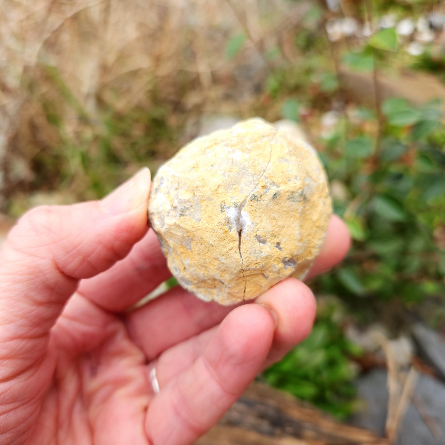 Géode en Cristal de roche - Petite - n°8