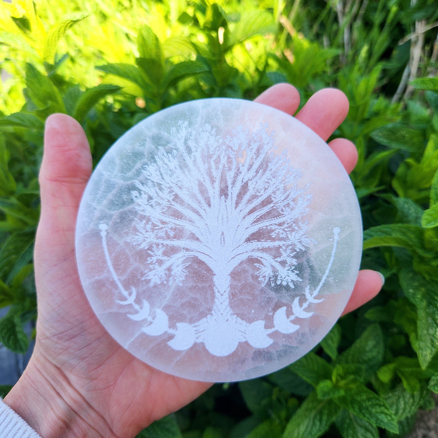 Plaque Arbre + Cycle lunaire